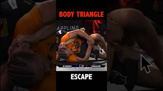 Body Triangle Escape with Jay Rod vs Tainan Dalpra bjj [upl. by Laflam]