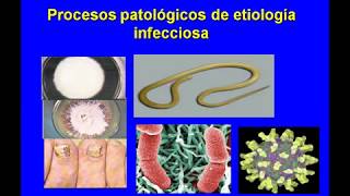 Morfofisiopatología Humana II Videos 8 MIC [upl. by Enrak3]