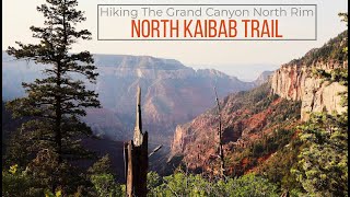 Grand Canyon North Rim North Kaibab Trail to Roaring Springs [upl. by Rap990]