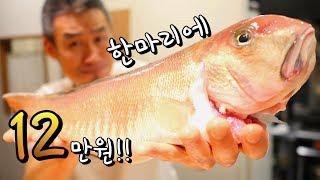 생선육질이 남다른 고급중의 고급생선 오로시해서 먹어보자 How to Fillet Tilefish  Ｗhitefish Recipe [upl. by Samtsirhc]