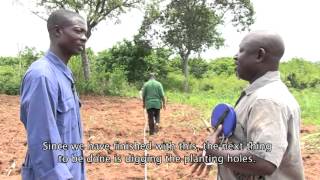 Establishment of Cashew Farm Training MovieACi [upl. by Hait]