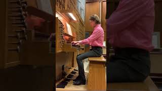 Nikolaus Bruhns Praeludium in E minor bruhns organ praeludium eminor [upl. by Kcirdneked80]