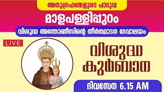 14 NOVEMBER 2024  HOLY MASS  ST ANTONYS PILGRIM CHURCH MALAPALLIPURAM [upl. by Busch]