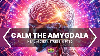 CALM THE AMYGDALA  Train Your Brain To Overcome Hypervigilance amp Fear  Heal Anxiety Stress amp PTSD [upl. by Niamrahc]