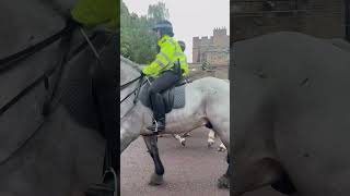 Mounted police officers mountedpolice metropolitanpolice londonpolice [upl. by Gerardo]