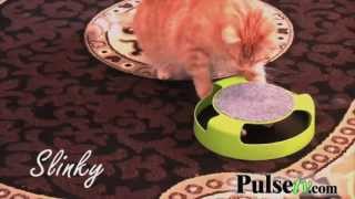 Feline Frenzy Cat Toy [upl. by Swithbert144]