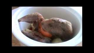 Ring Necked Pheasant Slow Cooker Recipe [upl. by Romine]