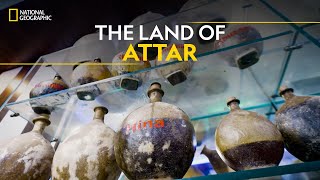 The Land of Attar  It Happens Only in India  National Geographic [upl. by Lerraj]