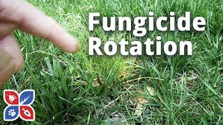 Lawn Fungicide Rotation Applications  Lawn Care Disease Control  DoMyOwncom [upl. by Payton]