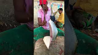 KASIMEDU FISH MARKET FISH CUTTING NM MEENAVAN fishcutting [upl. by Reste]