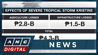 Kristine death toll climbs to 125 damage to agriculture infrastructure totals P43B  ANC [upl. by Sparke]