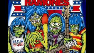 04 Metallica  53rd amp 3rd A tribute to Ramones [upl. by Chellman939]