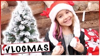 VLOGMAS 4  A la recherche de notre Sapin de Noël  Dimanche en famille [upl. by Ahsotan]