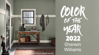 Color of the Year 2022 Sherwin Williams [upl. by Annovaj]