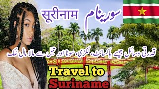 Travel to Suriname  Facts about Suriname  History of Suriname  Jani info Hub [upl. by Piane]