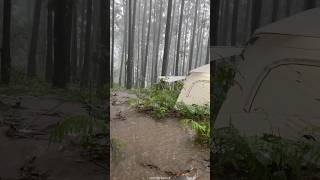 FLOOD EVERYWHERE AROUND THE TENT shorts [upl. by Arobed]