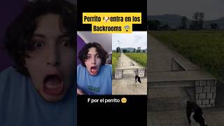 Perrito entra en los Backrooms 😨  Hey Crispin humor shorts [upl. by Kentiggerma]