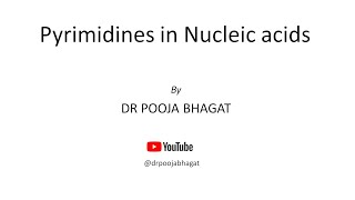 Pyrimidines in Nucleic Acids [upl. by Htinnek]