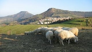 La Sardegna dei pastori il paesaggio della longevità [upl. by Alameda]