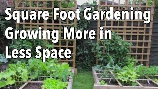 Square Foot Gardening SFG Growing More in Less Space [upl. by Anirbed72]