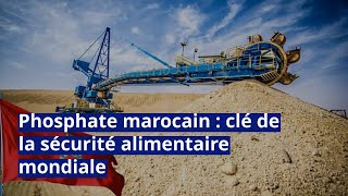 Phosphate marocain  clé de la sécurité alimentaire mondiale [upl. by Pauiie]