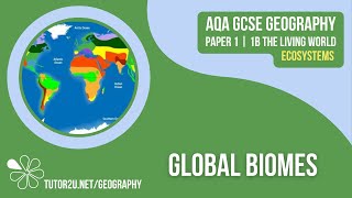 Global Biomes  AQA GCSE Geography  Ecosystems 4 [upl. by Llednew]