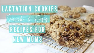 LACTATION COOKIES  Quick and Easy Recipes For New Moms  Foods That Help Milk Supply [upl. by Burnside963]