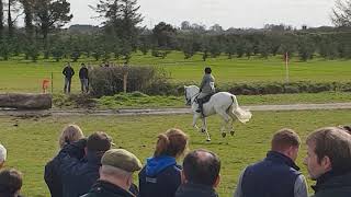 Killinick Bouncer Kildare Performance Show 2019 [upl. by Carroll]