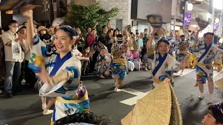 【菊水連】拍手に包まれる中、次々に踊り込む軽快な組踊り！ 菊水連 阿波踊り 祭り 初台阿波踊り 阿波おどり 祭り 20240923月 [upl. by Nosdivad823]