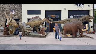 dinosaur museum bovey tracey [upl. by Nanda]