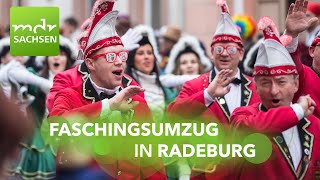 Faschingsumzug Radeburg 2024  „Filmreif RABU – Klappe die 67“  MDR [upl. by Gnod]