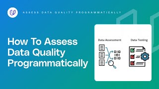 Assess Data Quality Programmatically [upl. by Holsworth]