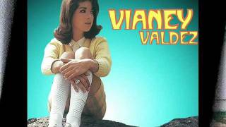 Vianey Valdez  Amarga Realidad [upl. by Etirugram]