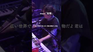 wacci 『宝物』 Live ver Shorts [upl. by Stoffel]