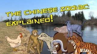 Chinese Zodiac Explained  Learn Chinese Now [upl. by Seiber494]