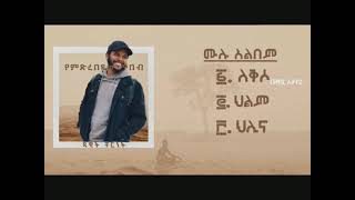 Dawit Chernet  Yemdrebedaw Tibeb Full Album ዳዊት ቸርነት  የምድረበዳው ጥበብ ሙሉ አልበም [upl. by Boor]