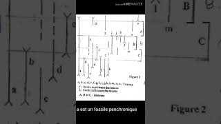 Exercice  unités biostratigraphiqueBiozoneDatation et collération paléontologue [upl. by Naivat]