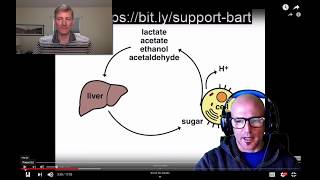 Is It Really NONSENSE Response Bart Kays Critiques [upl. by Yesdnil]