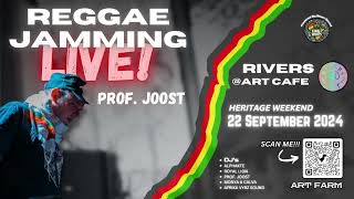 Prof joost live mix at the artfarm [upl. by Leinto317]