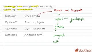 Gametophyte is dominant photosynthetic sexually reproducing and independent in [upl. by Child171]