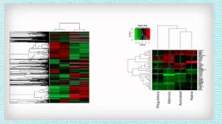 Heatmaps course  Introduction [upl. by Eirret]