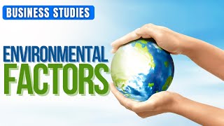 Environmental FACTORS  Business Studies [upl. by Epifano906]