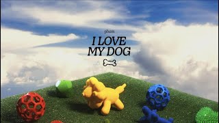 i love my dog lyric video [upl. by Aneladgam]