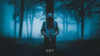 Shy  Saw Shadows Official Rock Metal Audio  Song About Being Shy [upl. by Adela]