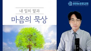 하루 10분 말씀묵상 히브리서 112426 김정민목사하나님의 인도하심의 증거5 [upl. by Burger]