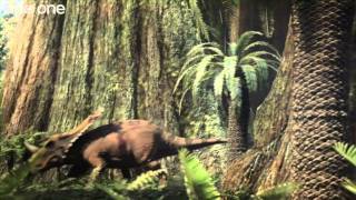 Tyrannosaur Rivalry  Planet Dinosaur  Episode 3  BBC One [upl. by Sral]