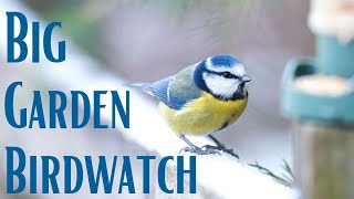 How to Take Part in the Big Garden Birdwatch  RSPB UK [upl. by Gonnella314]