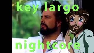 Bertie Higgins  Key Largo Nightcore [upl. by Falzetta934]