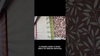 Difference Between Zebra Blinds and Zebra Shades [upl. by Seaver]