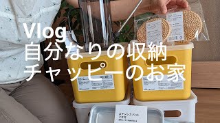 ダイソー購入品、手作りおやつ、晩ご飯、カレンダー、犬🐶 [upl. by Aklim525]